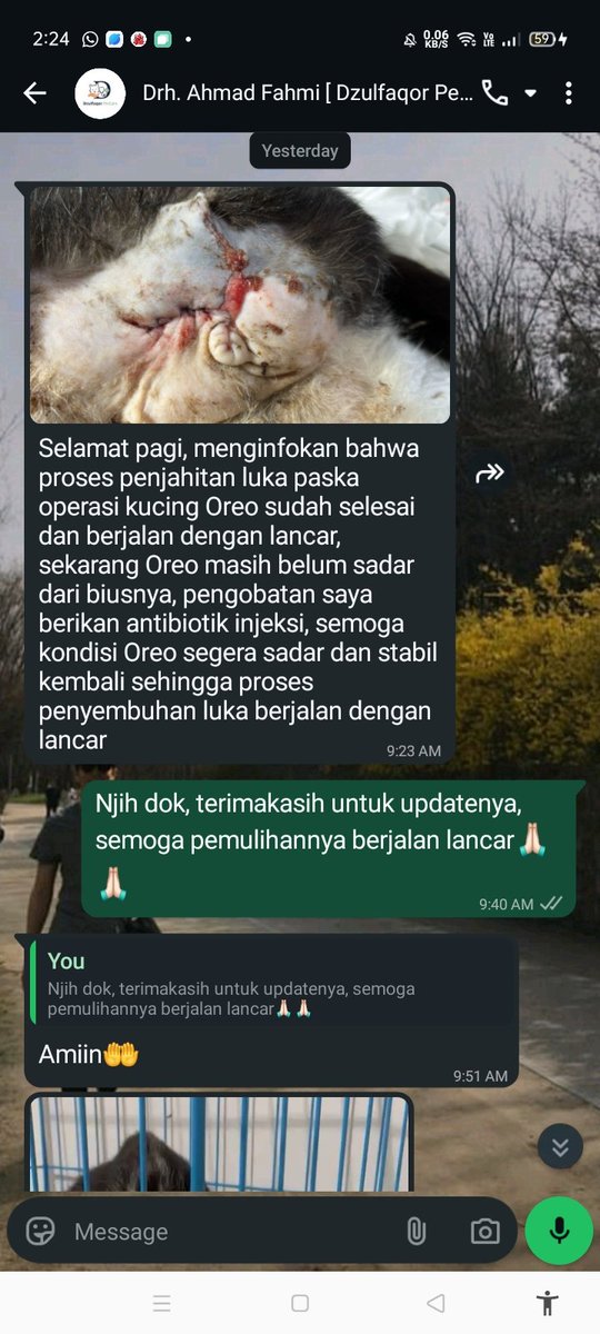 PJMCore_1310ᴾᴶᴹ tweet media