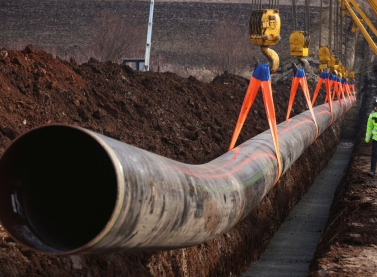 Mario ZNA tweet media