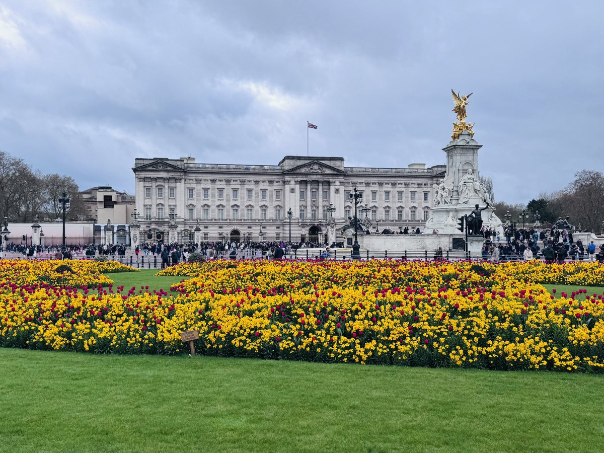 Jamie Shoup tweet media