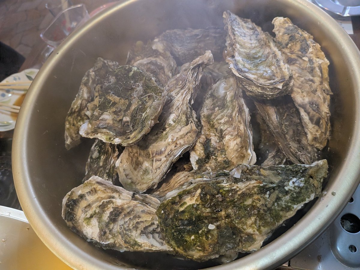 日出人さん@Pump it YouTube tweet media