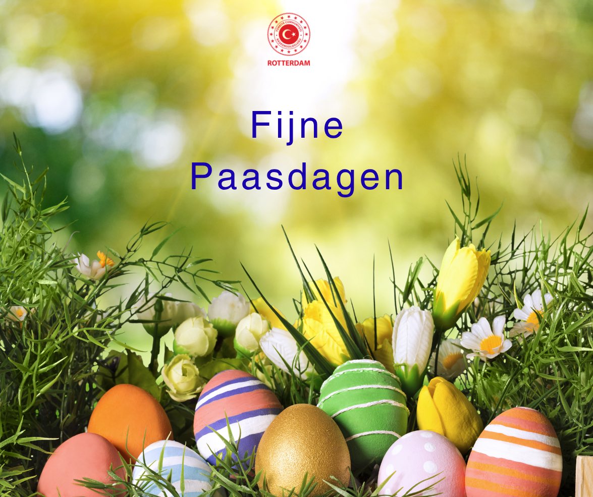 Türkiye in Rotterdam tweet media