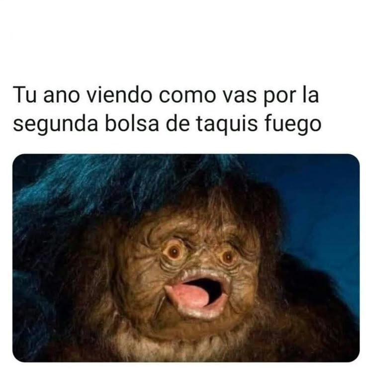 la flakita tweet media