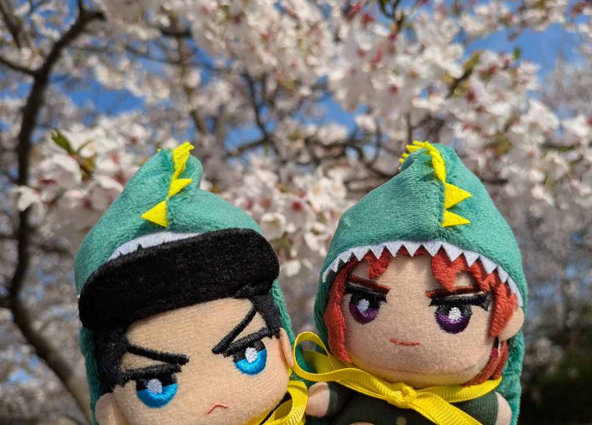 hs3Rin's tweet photo. 🌸🌸🌸 https://t.co/LcTYy5Tvyz