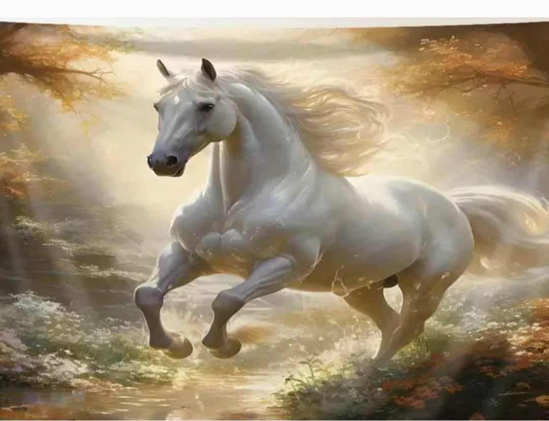 Cengizhan ( ANGARALİ EMMİ & CENGİZ EFLATUN ) tweet media