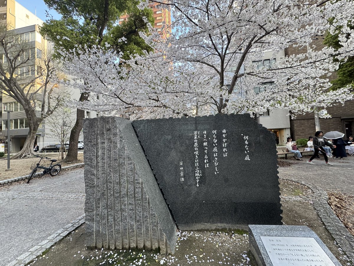 🍊🍊🍊 tweet media