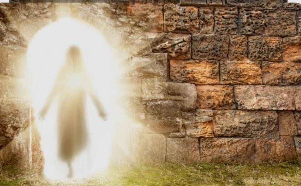 Resurrexit sicut dixit. Alleluia ! 🙏
Joyeuses et Saintes fêtes de Pâques à tous.
#Paques