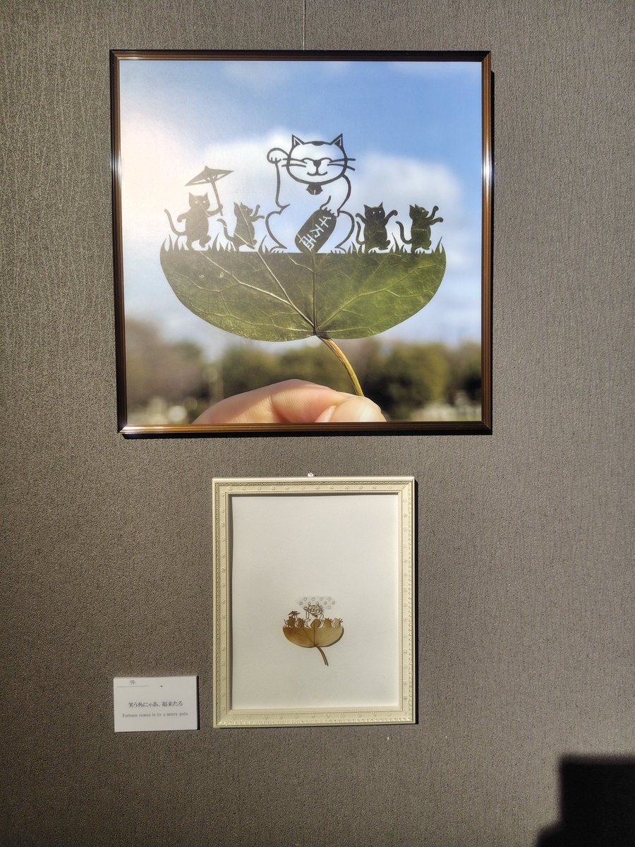 sanagi.unagi tweet media