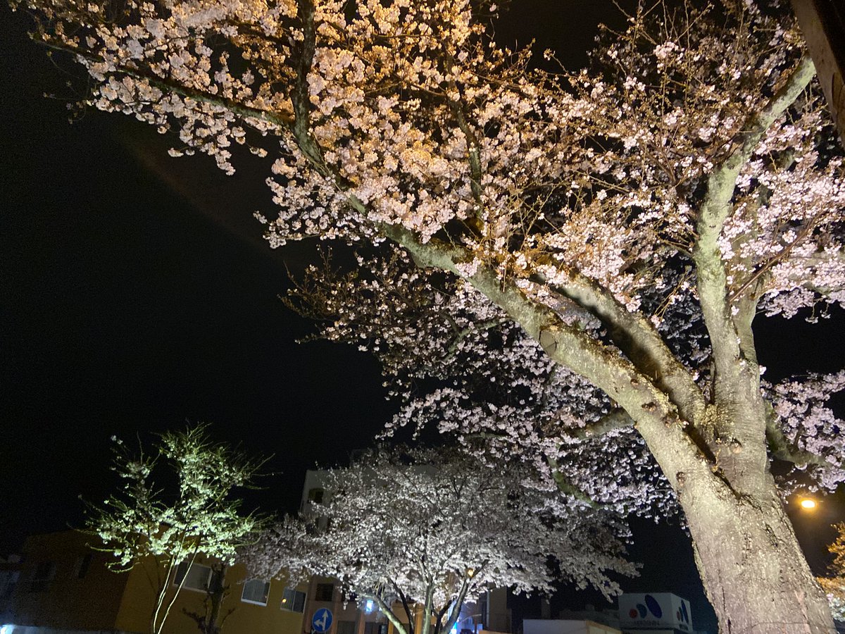 Miyuki Okano tweet media