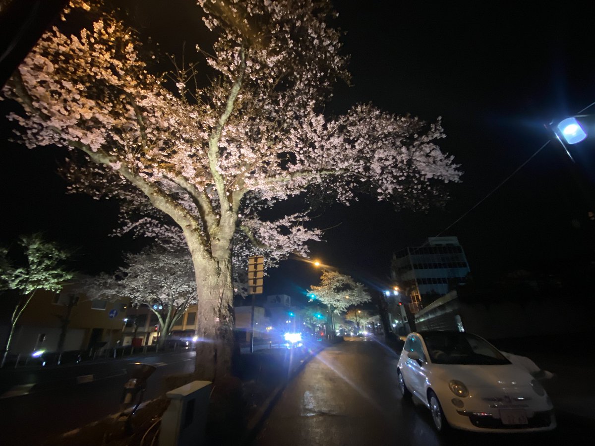 Miyuki Okano tweet media