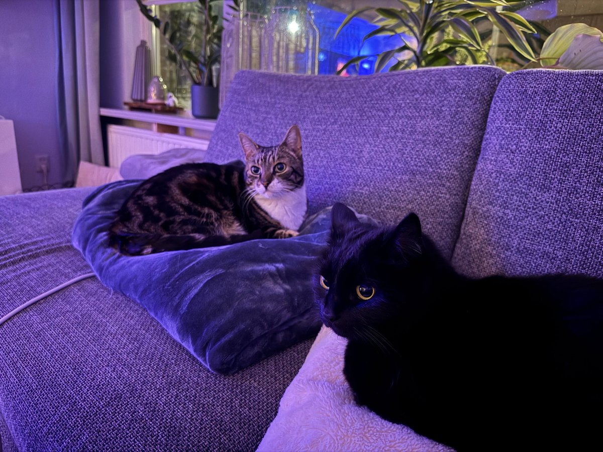 Roger van der Kraan tweet media