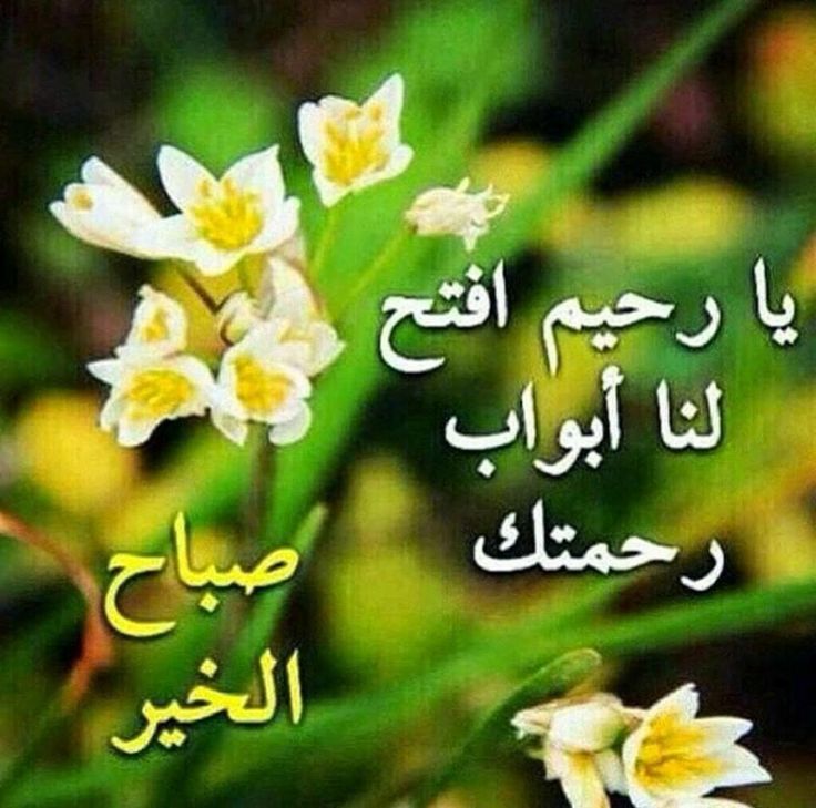 Noureddine Djaldi tweet media