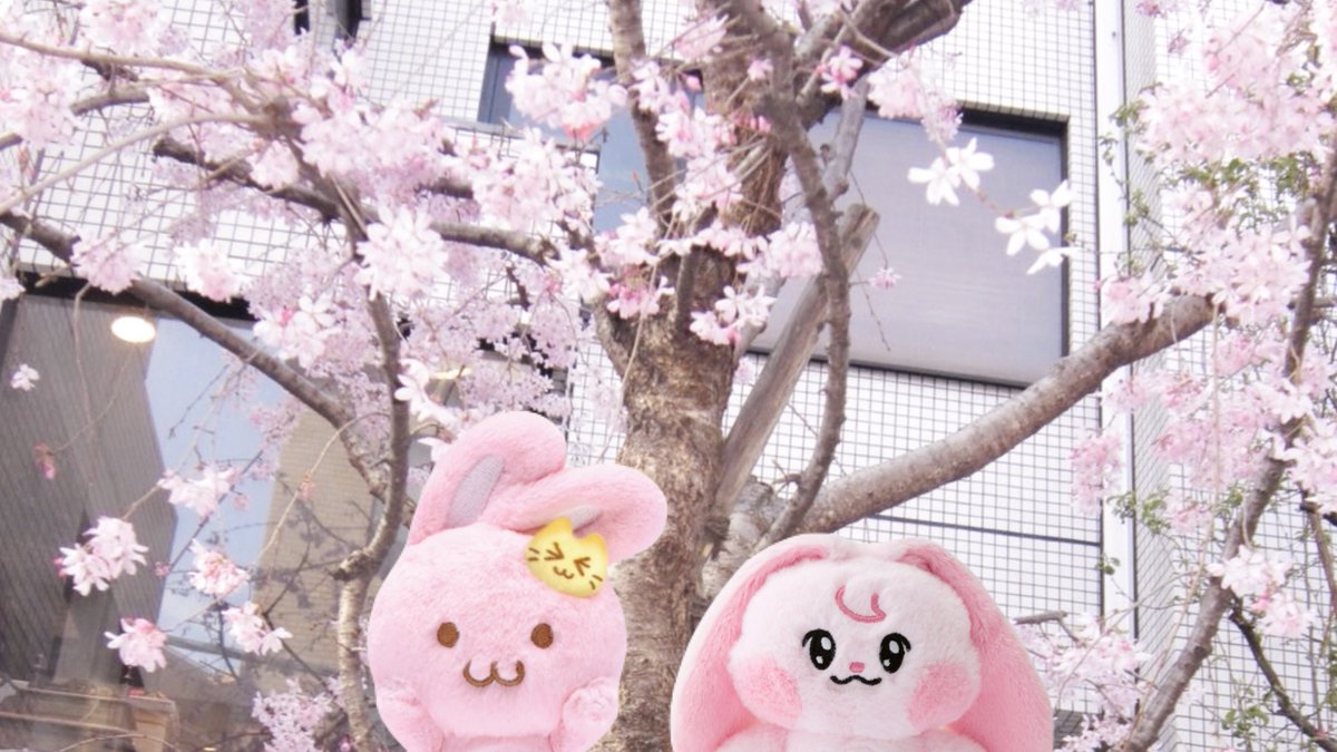 ᴋᴍ.✿ tweet media