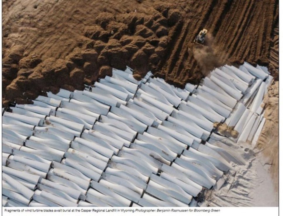 UK citizen 🚜 🏴 tweet media