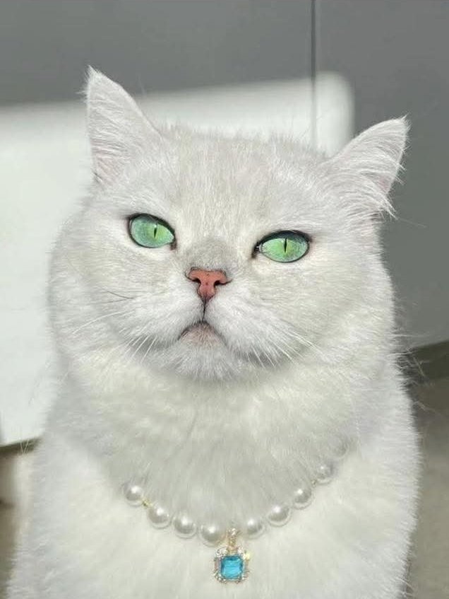 Mary 🕊️ tweet media