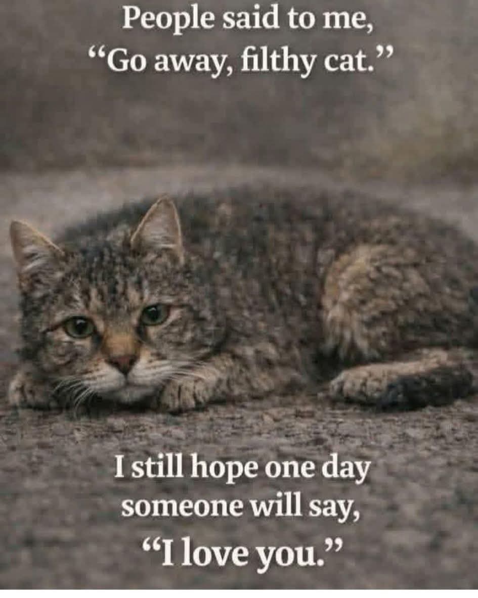 Mary 🕊️ tweet media