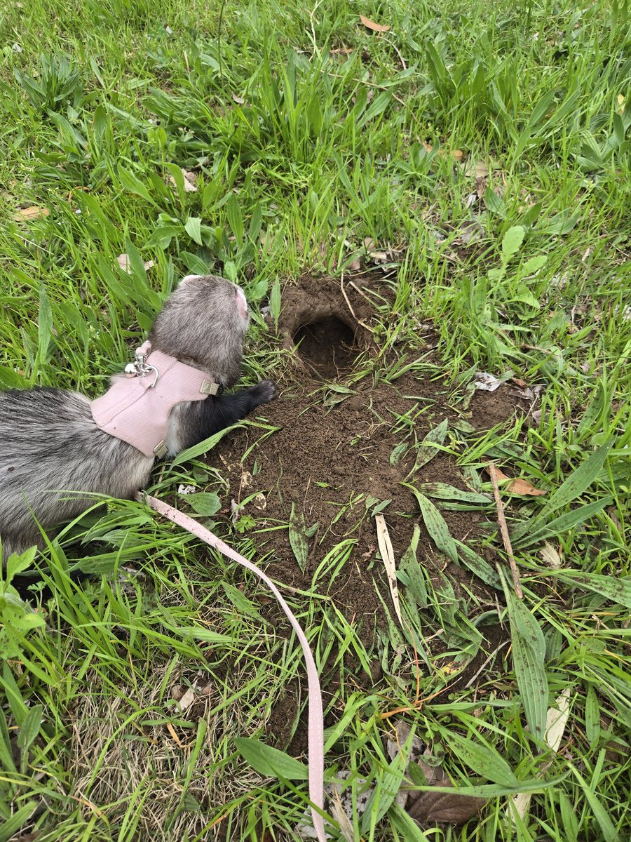 うなぎ🍥 tweet media