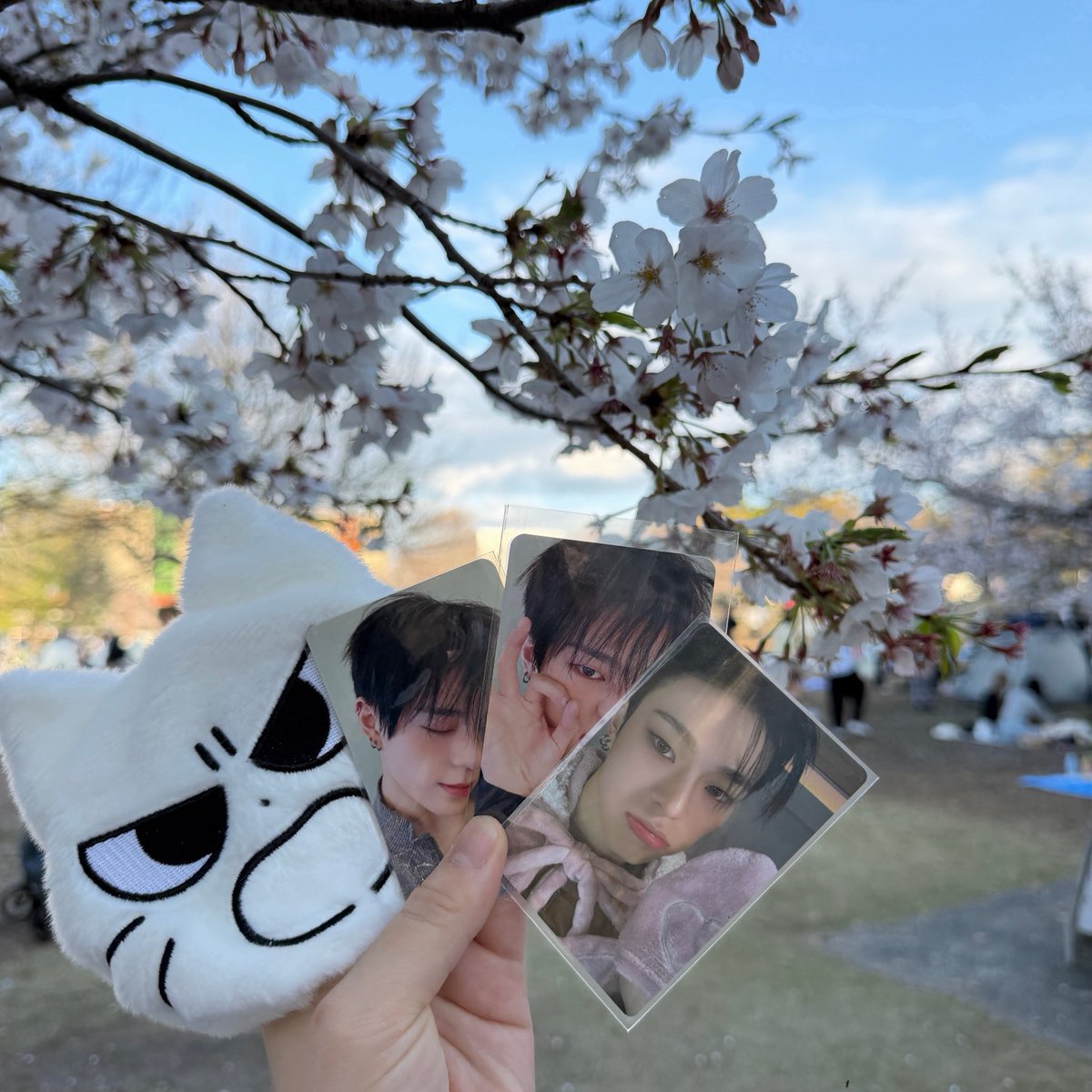 🐱ྀི tweet media