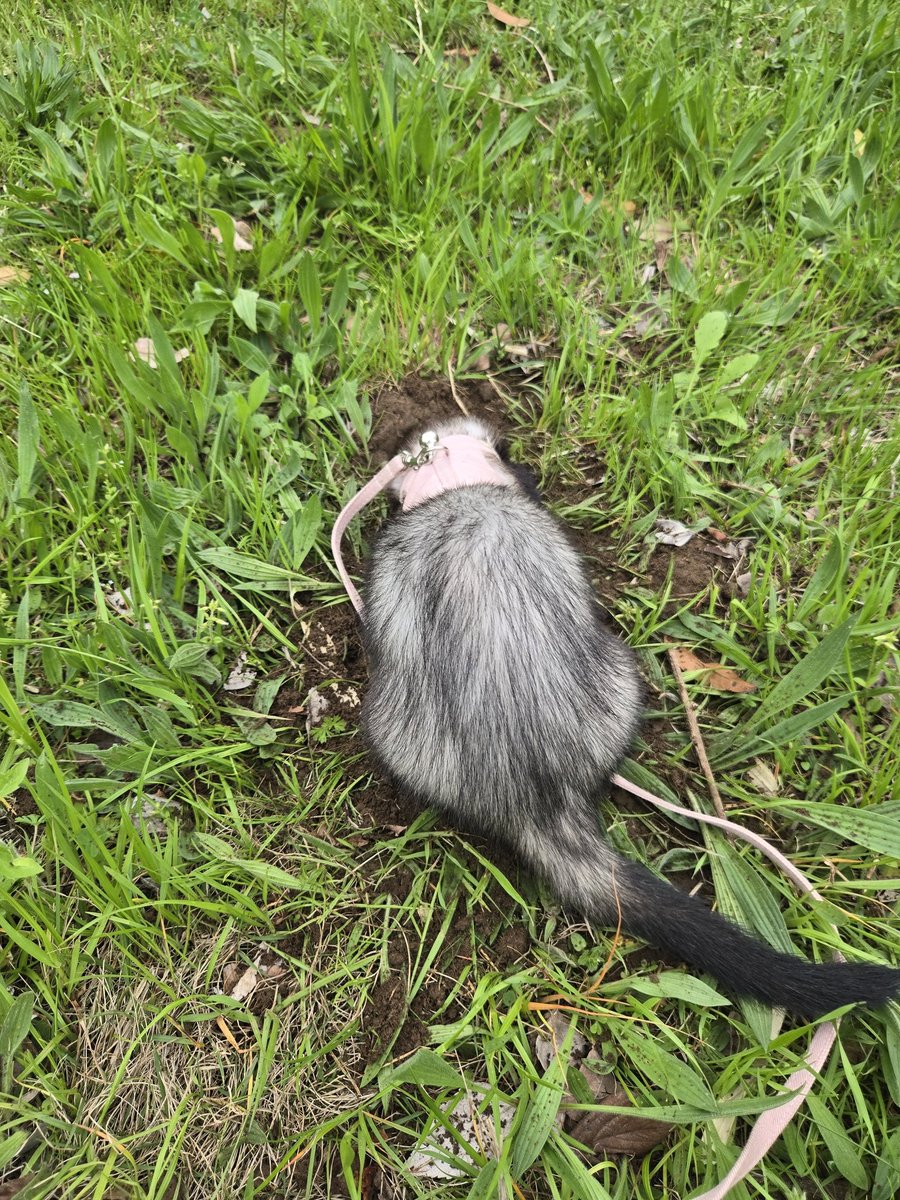 うなぎ🍥 tweet media