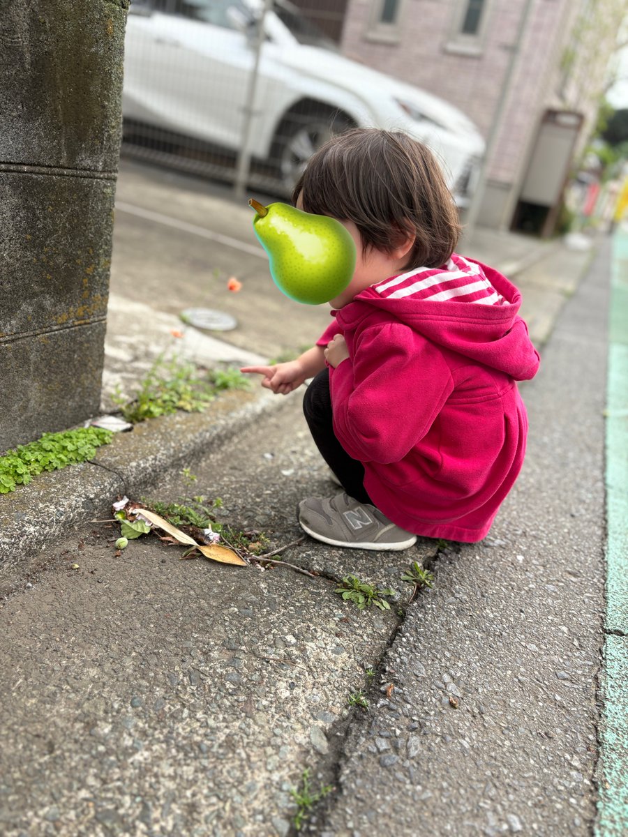 シロニコフ tweet media