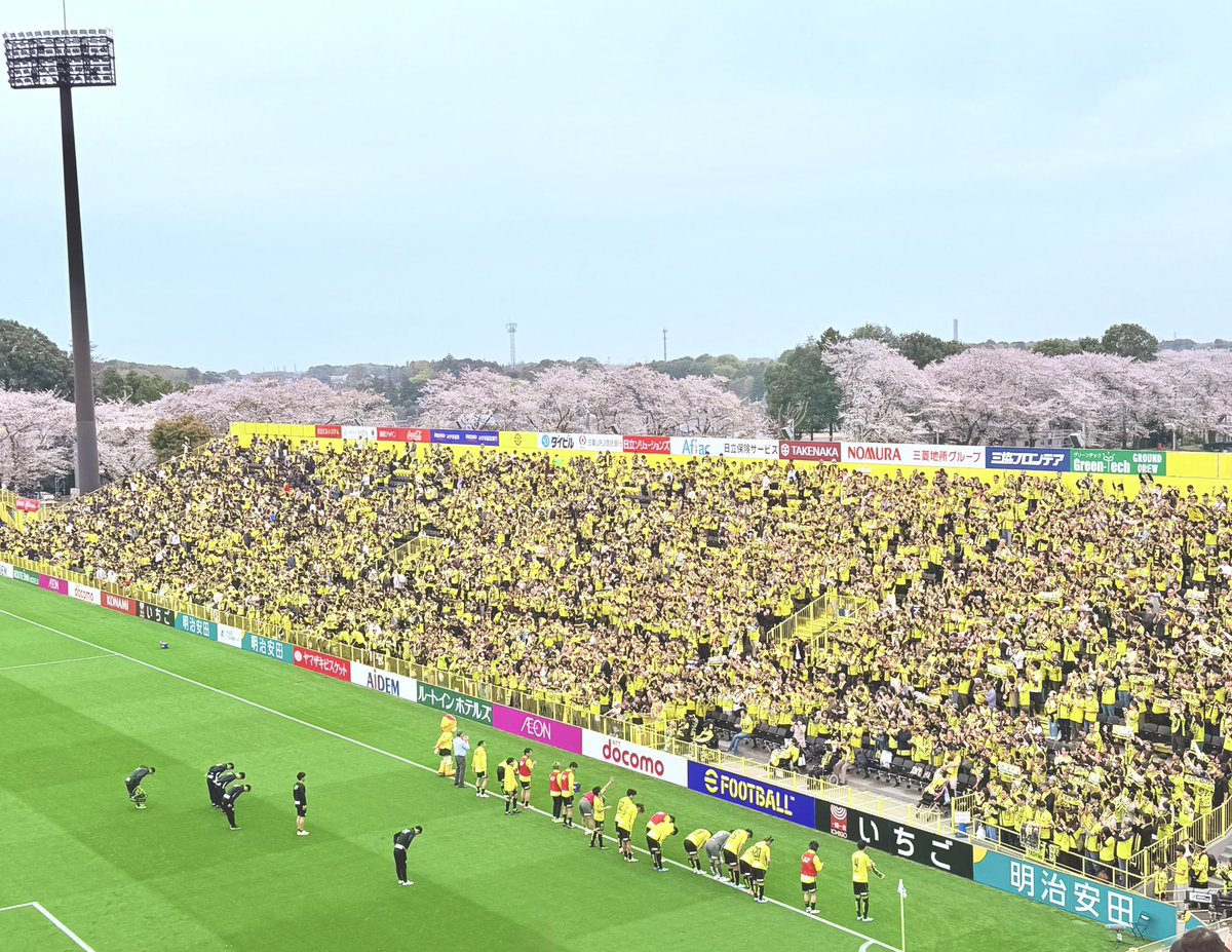 Shindows tweet media