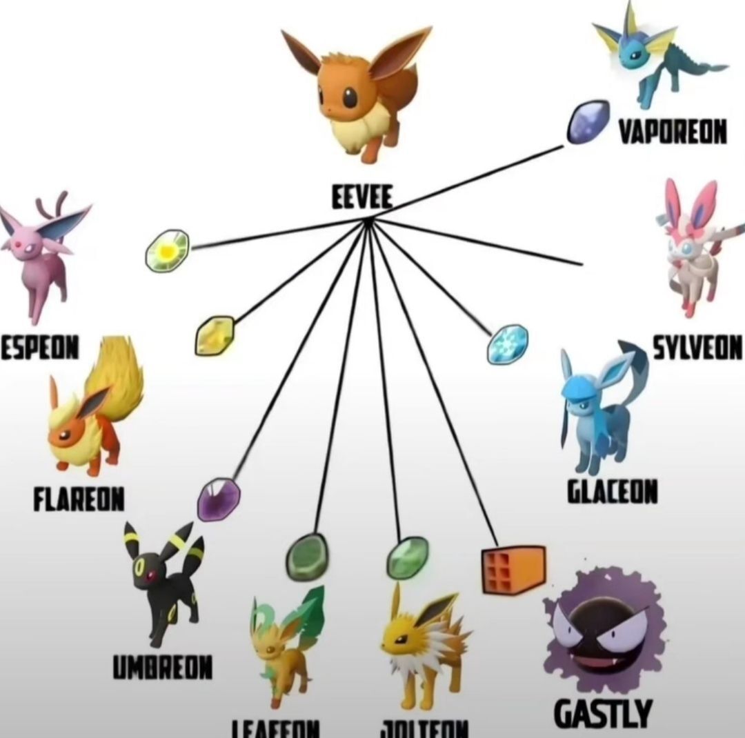 Pokémon Posts tweet media