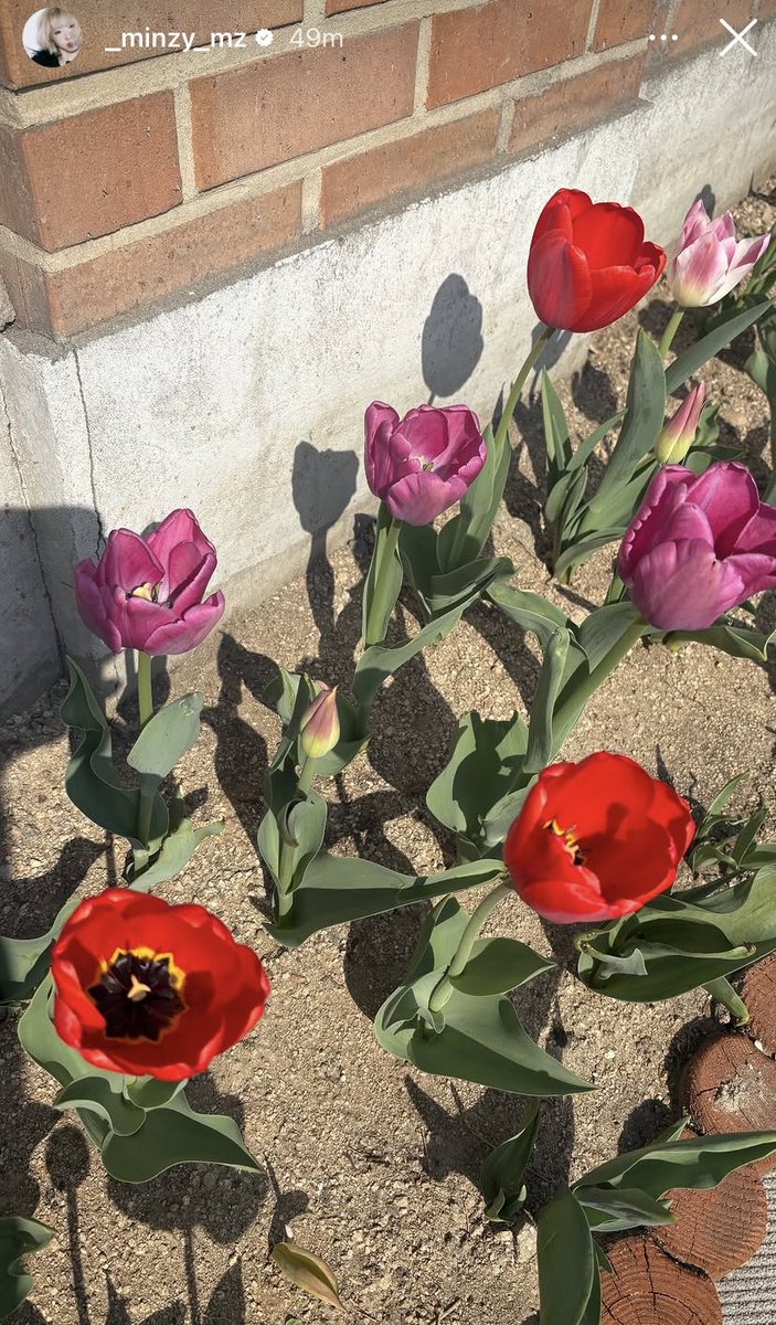 SuperMinzyPOS tweet media