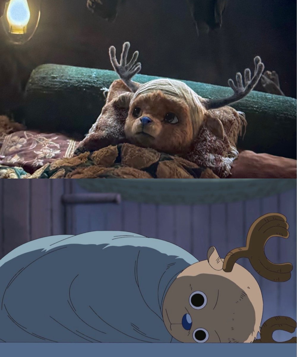 One Piece Daily tweet media