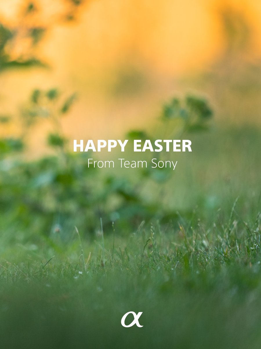 SonyFrance's tweet photo. Joyeuses Pâques ! 😊🐰
📸 : @gamanderlopez (sur Instagram)
#SonyAlphaEU https://t.co/1hTxIEatjK