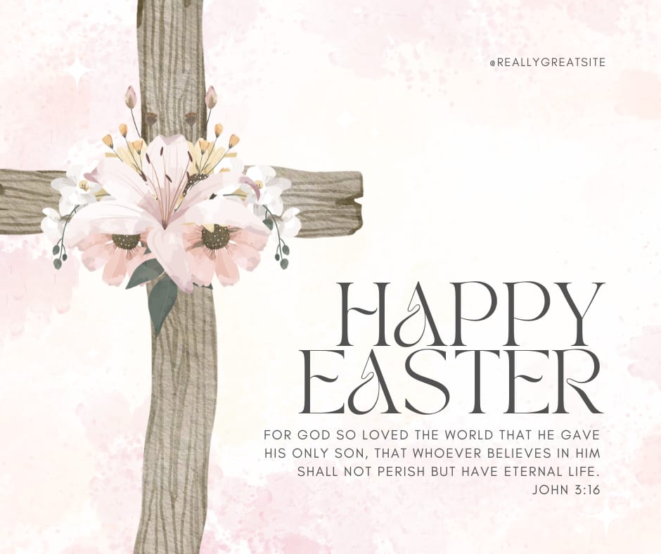 CENTRE FOR YOUTH STUDIES tweet media