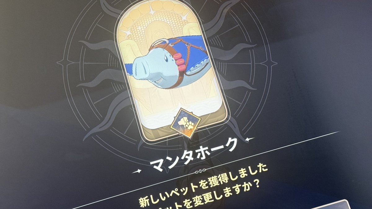 しんやっちょ@サブ垢 tweet media