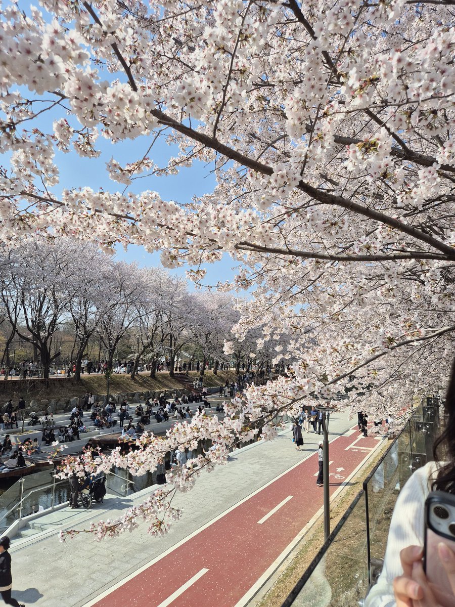 🍓지미_진⁷🍓 tweet media