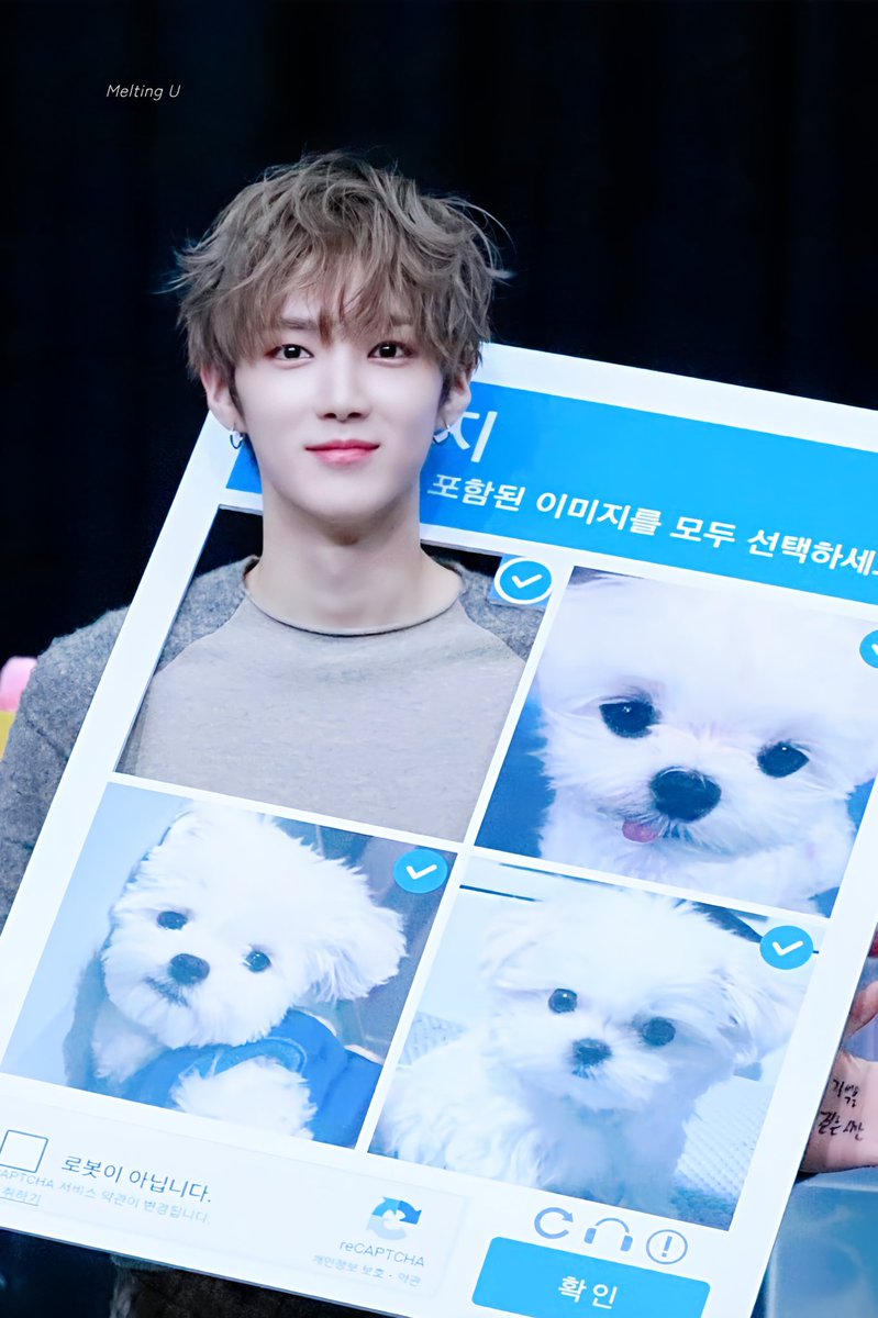 𝗠𝗲𝗹𝘁𝗶𝗻𝗴 𝗨 tweet media