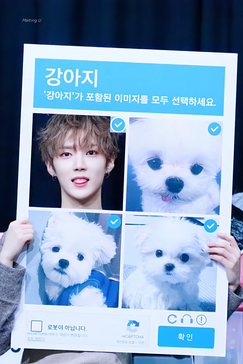 𝗠𝗲𝗹𝘁𝗶𝗻𝗴 𝗨 tweet media