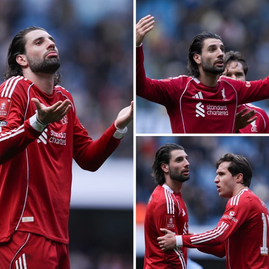 @Stevelfc1 /// tweet media