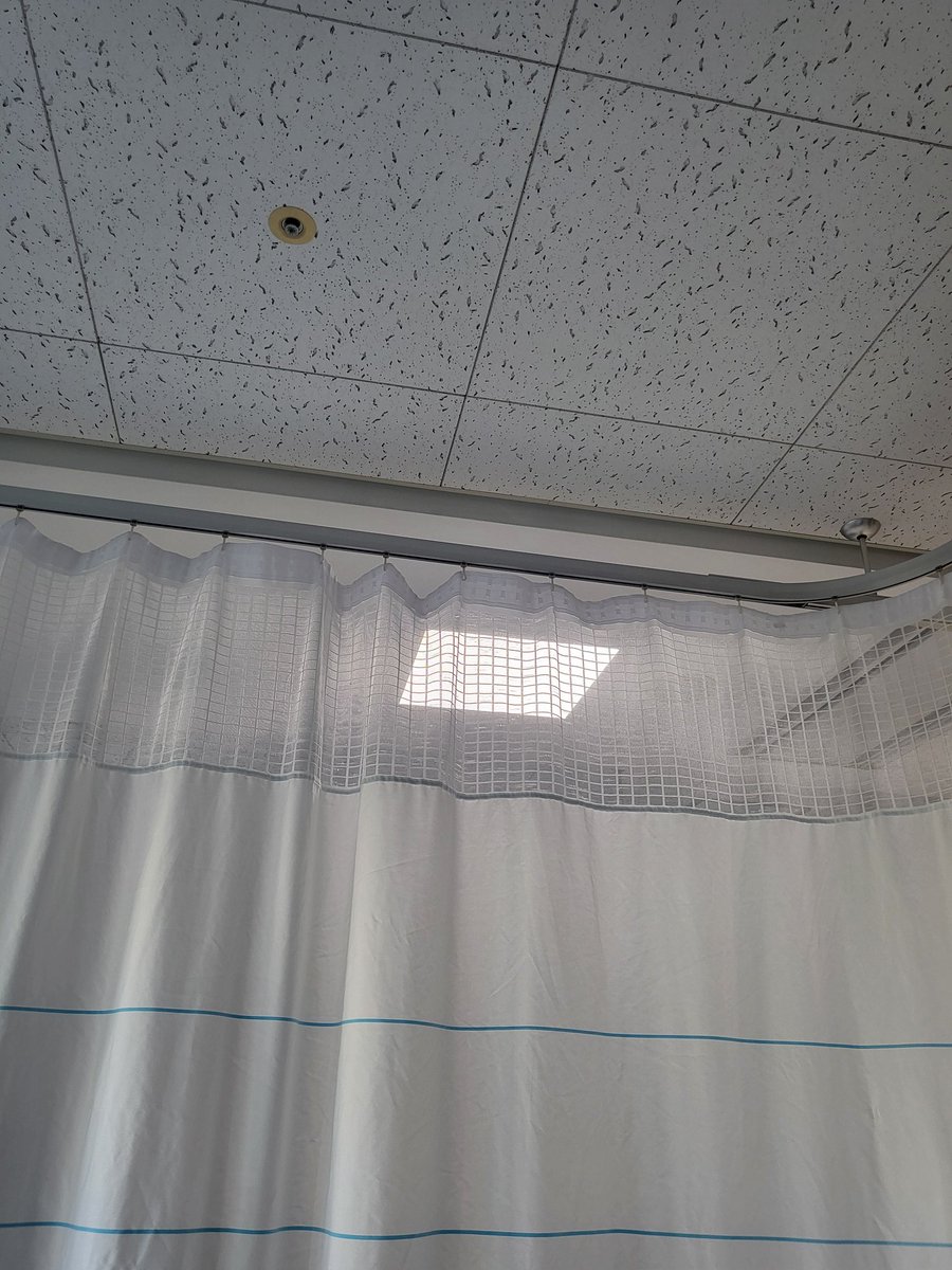 Firstslime tweet media