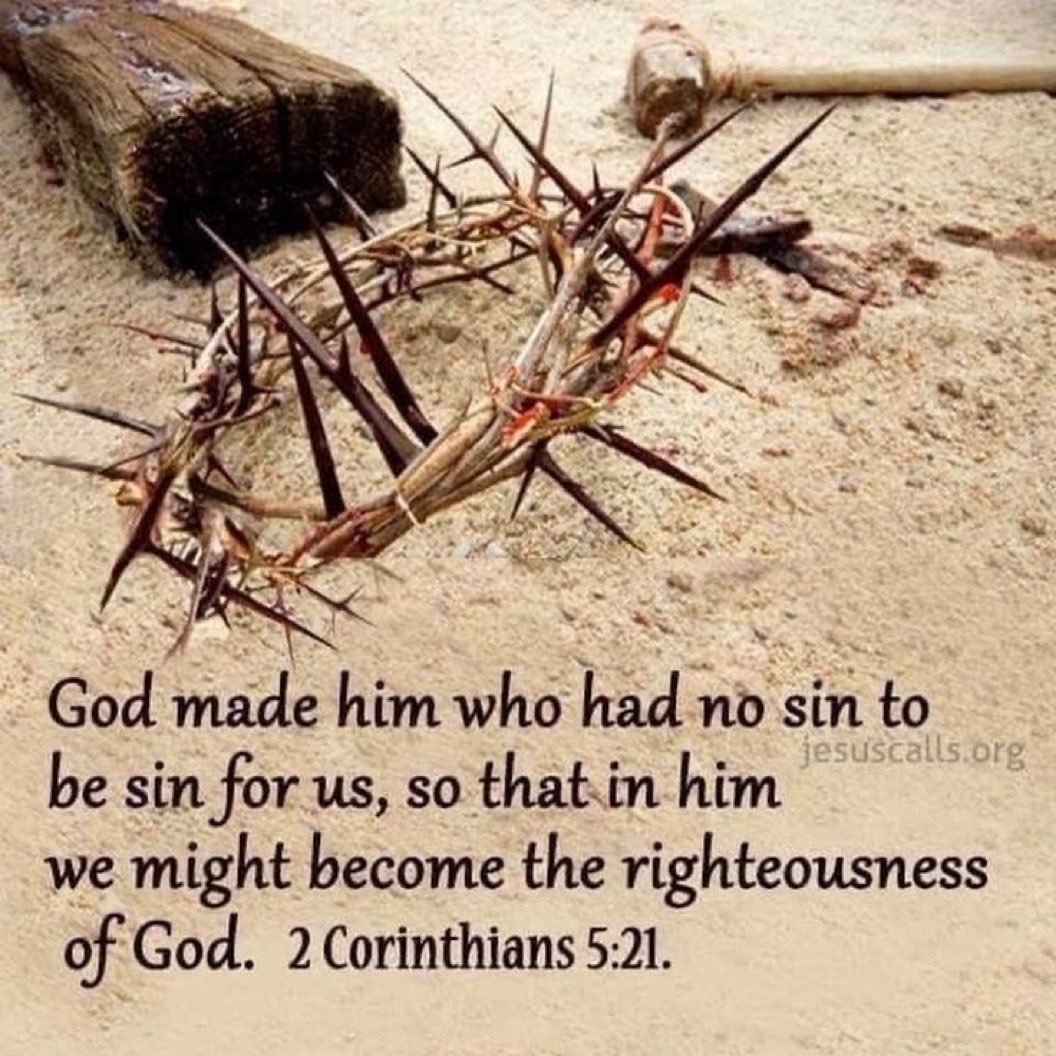 Timothy Burt tweet media