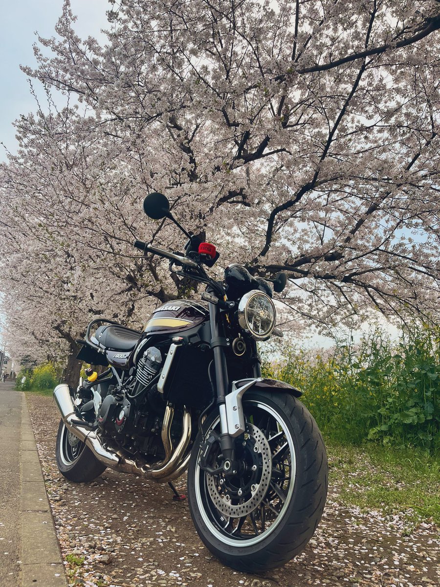 彪🐆🏍🏍³₃ tweet media