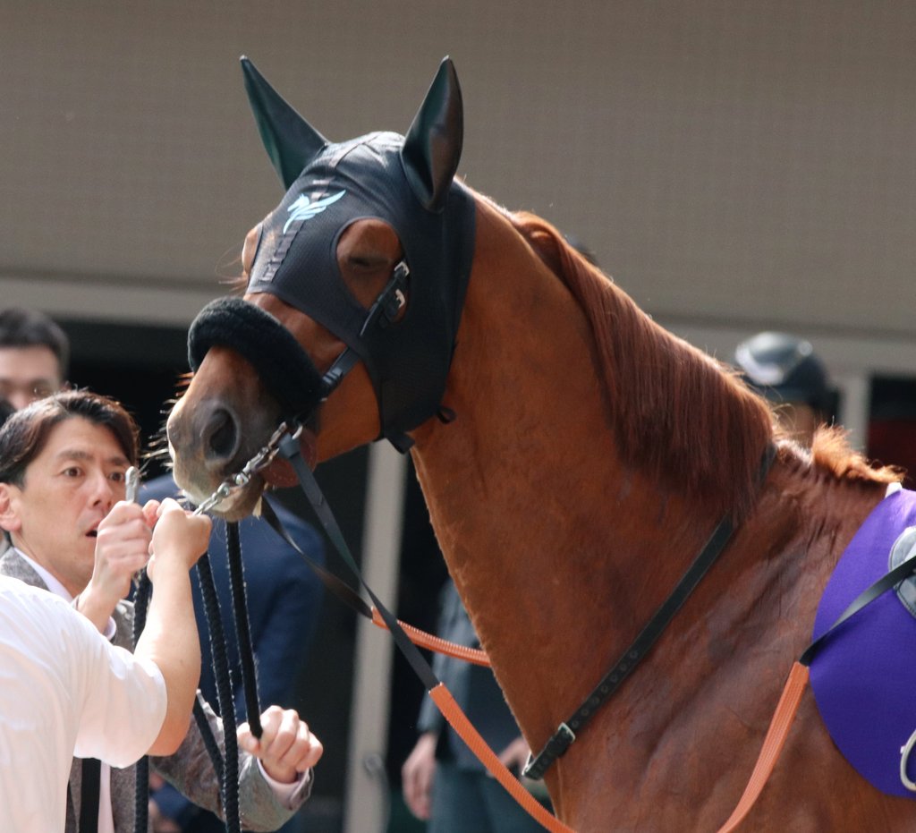 す𓃗✩*⋆ tweet media