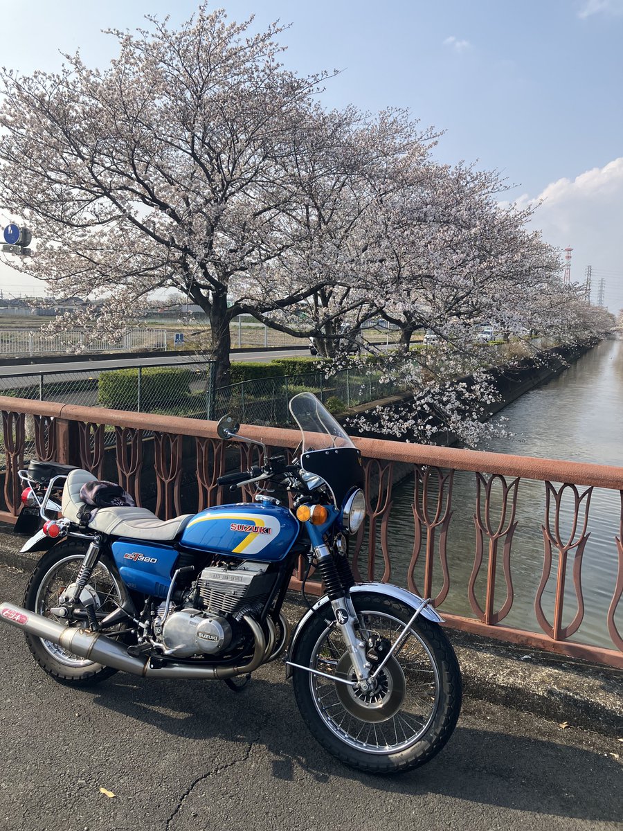 どんちゃん tweet media