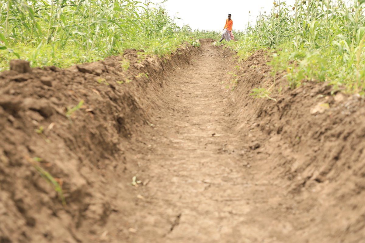 wardirelief's tweet photo. With support from @actionmedeor x @BMZ_Bund, @wardirelief has rehabilitated irrigation canals in 6 villages in Jowhar through a CfW framework. Over 200 workers cleared silt blocking canals to restore reliable access to water from the Shabelle River for farming activities. #PoWEr https://t.co/Ier9NQZZFU