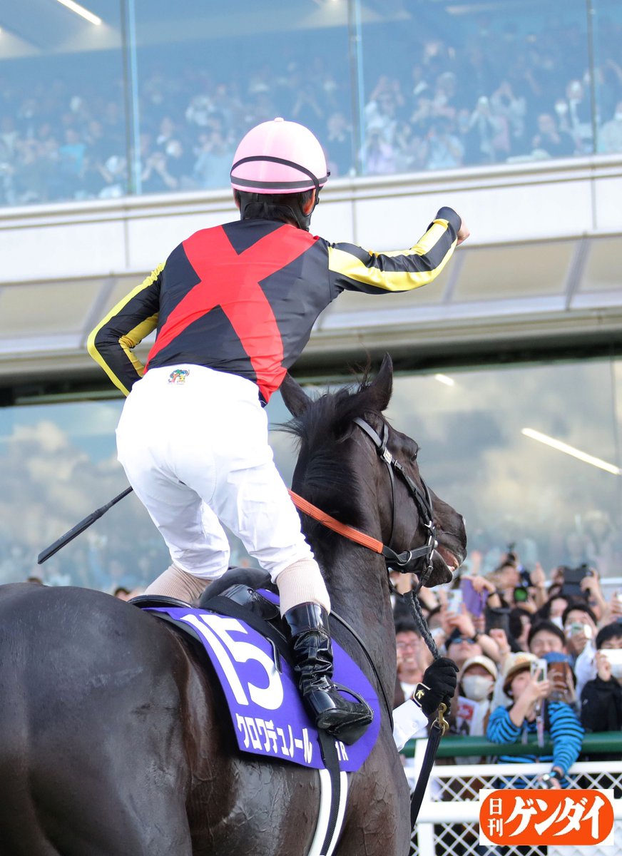 日刊ゲンダイ　競馬 tweet media