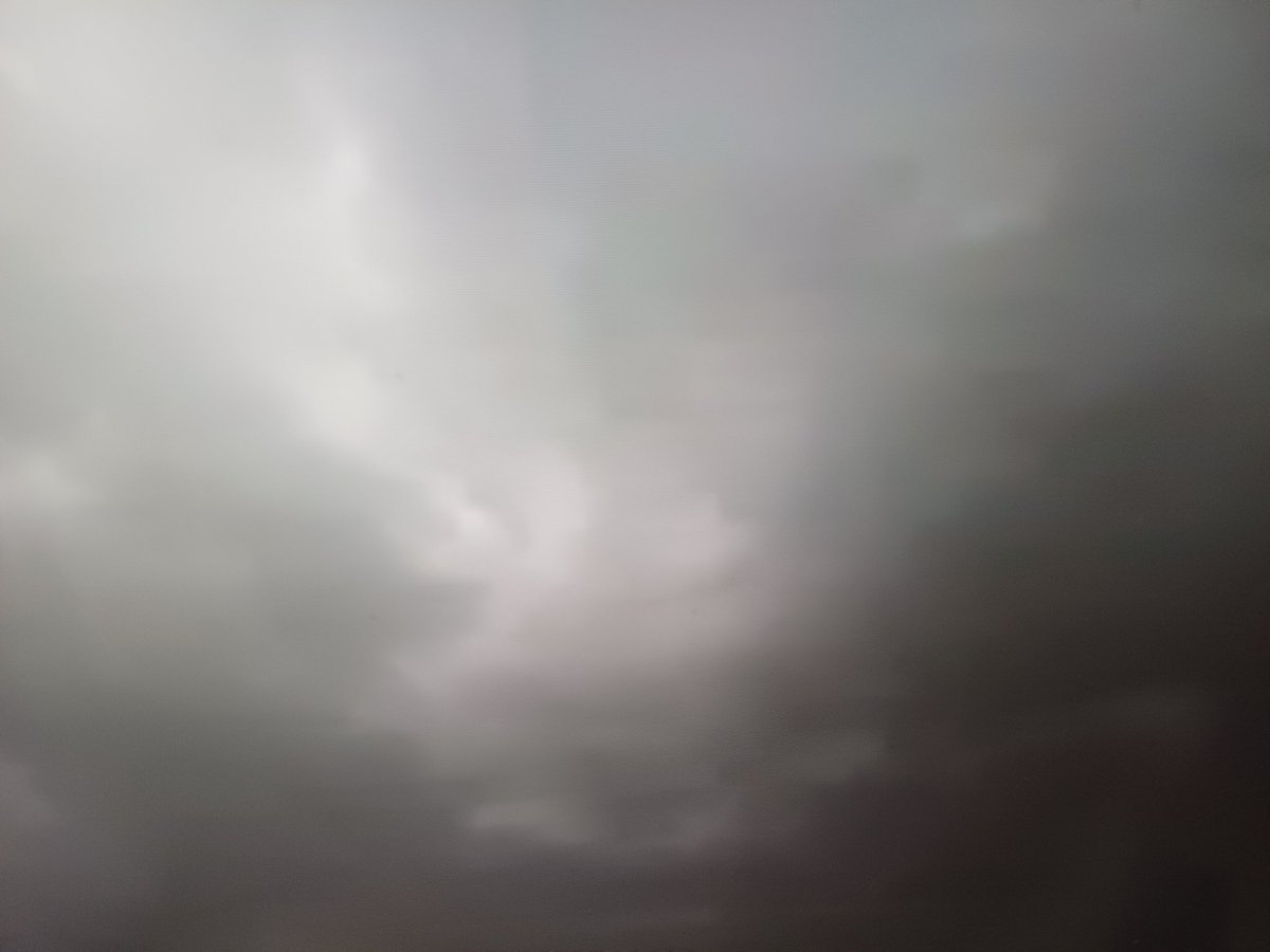 Adele Mofiro tweet media