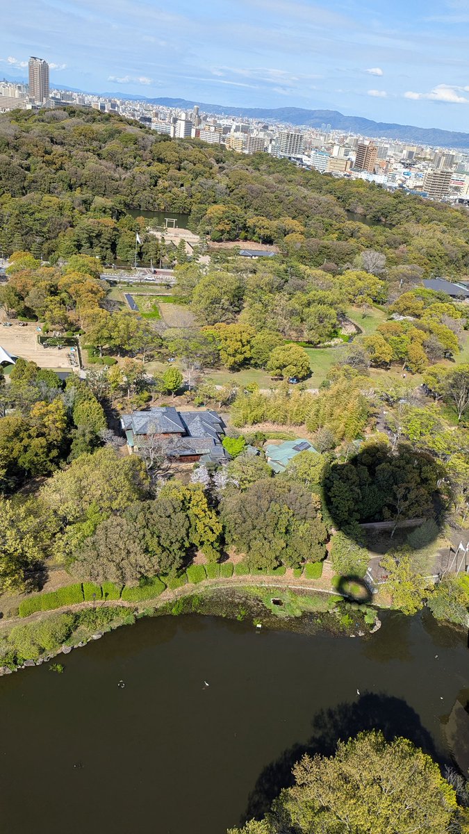 けんちゃそファイボワイパー tweet media