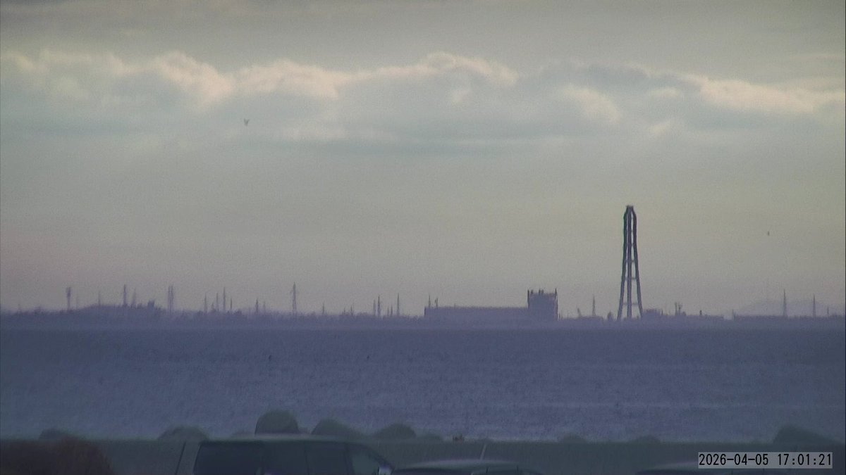 魚津埋没林博物館 tweet media