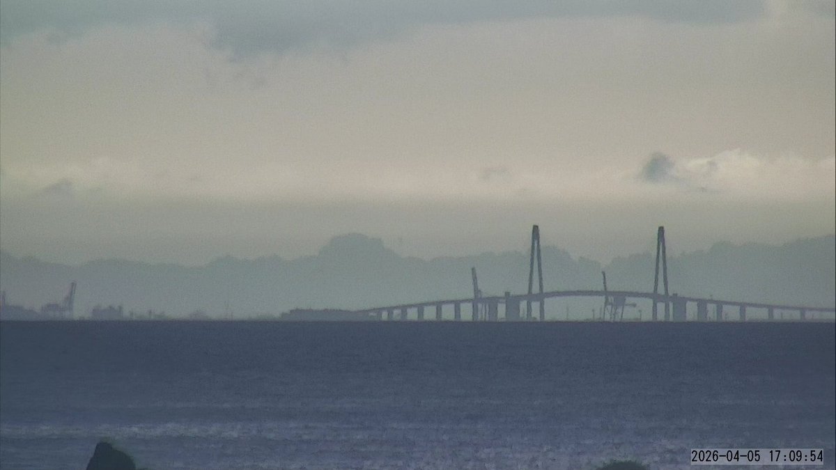 魚津埋没林博物館 tweet media