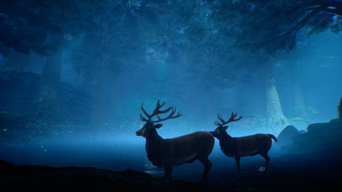 DigiFanTam ゲーマー料理愛好家🐈 tweet media