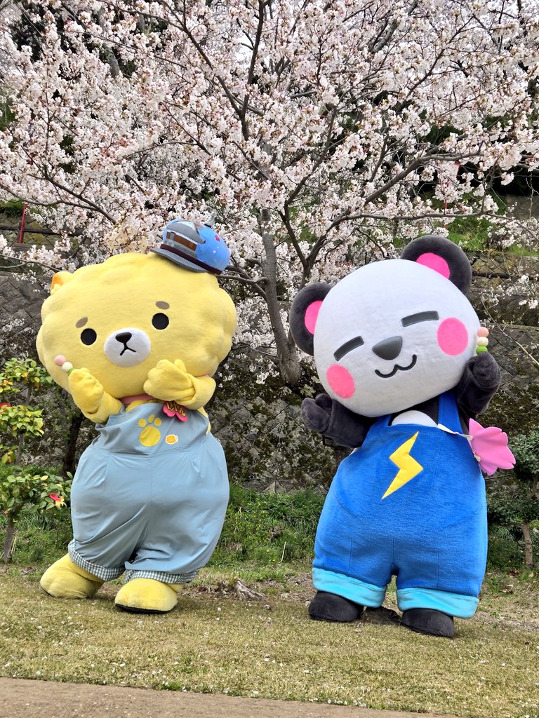 おはな tweet media