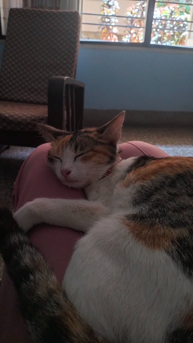 Maheeshasura tweet media