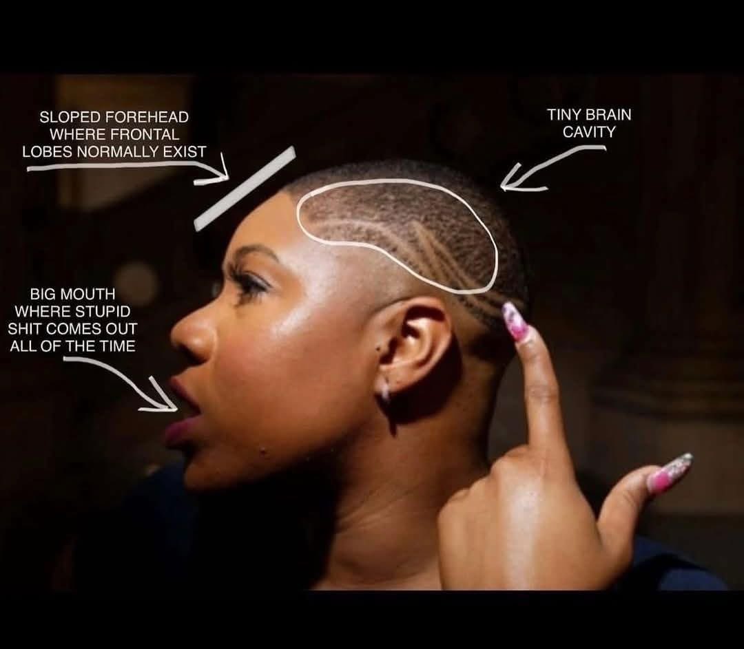 Regan MacNeil tweet media