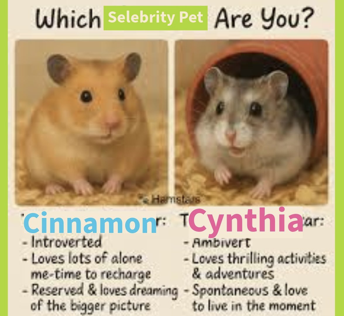 Ruby Spacek tweet media